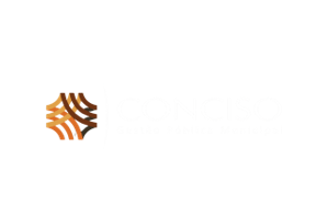 Conciso - Gestão Pública Municipal